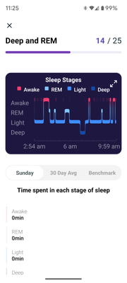 Fitbit 0 sleep 3.png