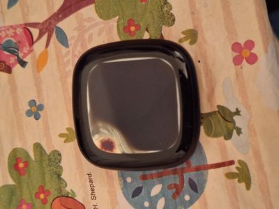 RodrigoMFitbit_1-1695830860318.jpeg