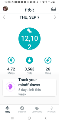 TeriBfit_1-1695919216061.png