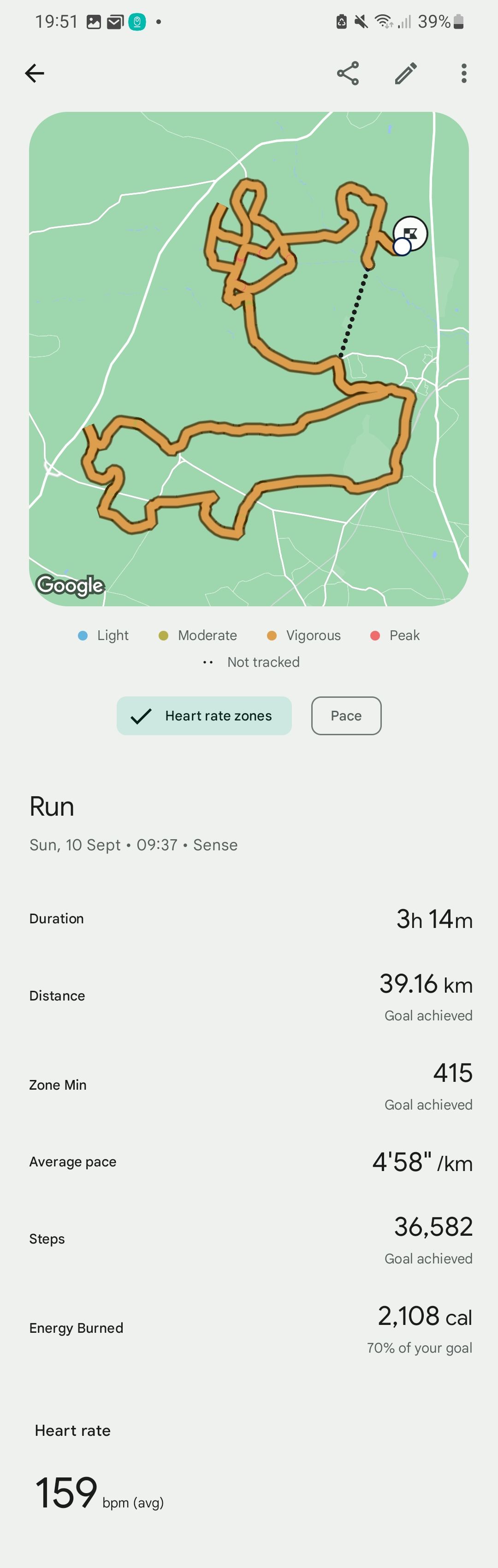 Fitbit discount track run