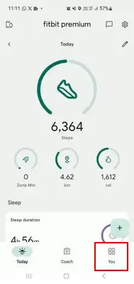 LizzyFitbit_5-1696266246104.png