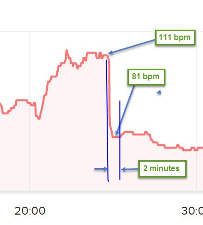 recovery hr 2 mins.jpg