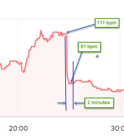 recovery hr 2 mins.jpg
