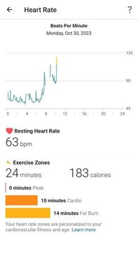 ManuFitbit_0-1698773076087.jpeg
