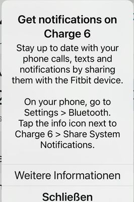 RodrigoMFitbit_1-1699030170455.jpeg