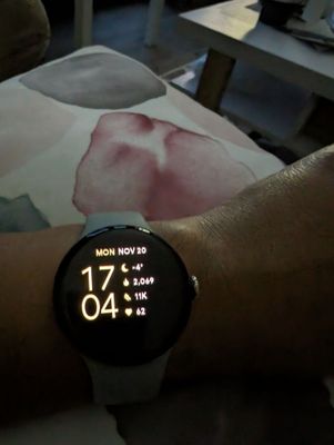 Pixel Watch 2 and Fitbit calories don t match Fitbit Community