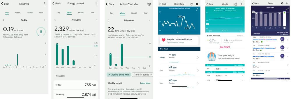 Fitbit health 2025 mate