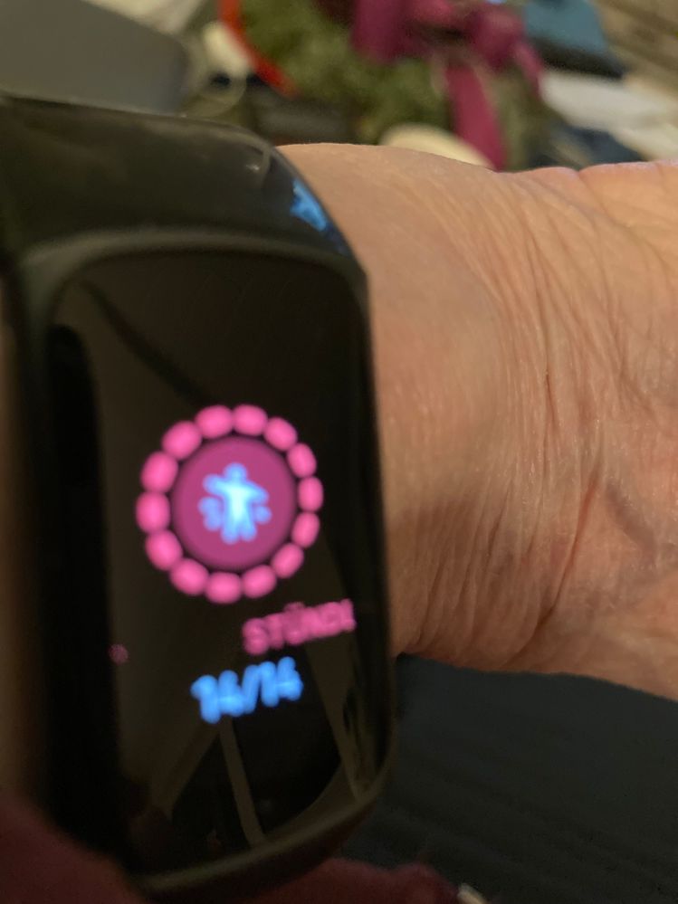 Montag 04.12.2023 - Fitbit Charge 5
