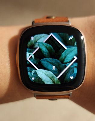 Verse fitbit shop