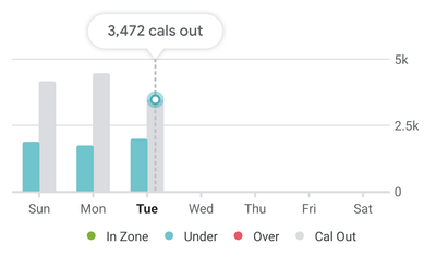 Fitbit 1.png