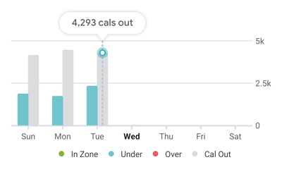 Fitbit 2.png