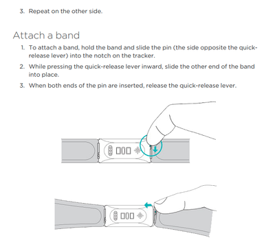 ManuFitbit_4-1703176547463.png