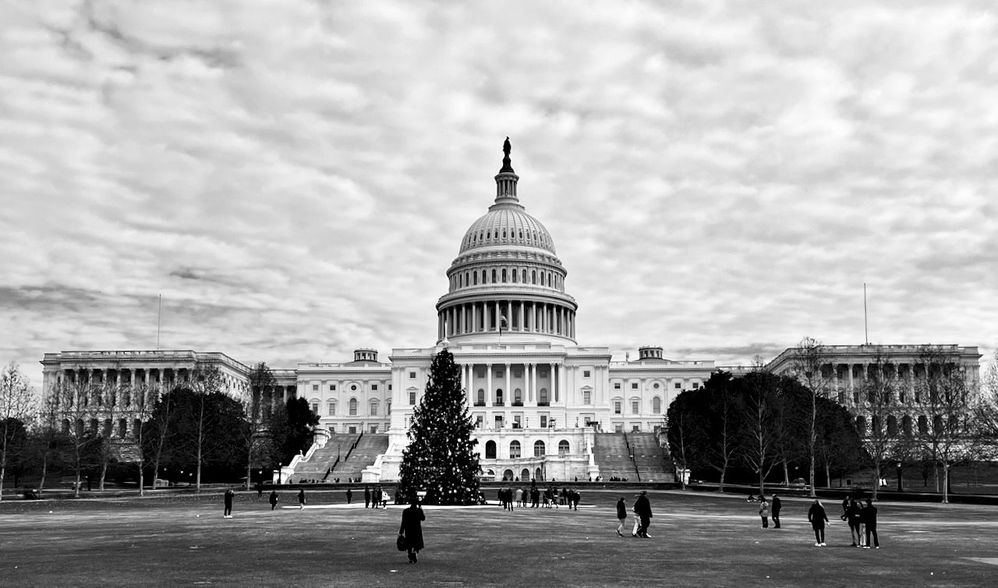 Christmas Tree - US Capital