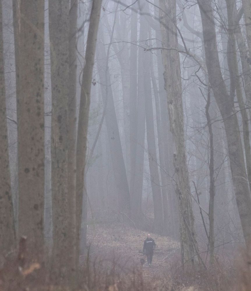 Dog and man in fog