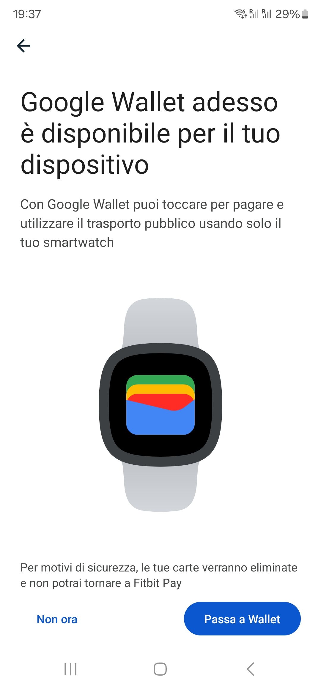 Google discount pay wearable