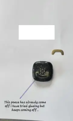 LizzyFitbit_0-1704499293923.png