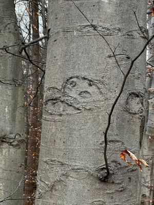 two eyes at the top where the twig is pointing,with a small mouth underneath