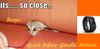 Modified Image