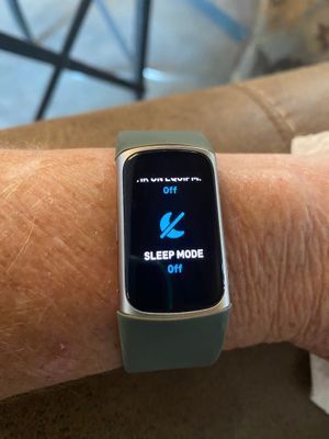EstuardoFitbit_1-1710855135946.jpeg
