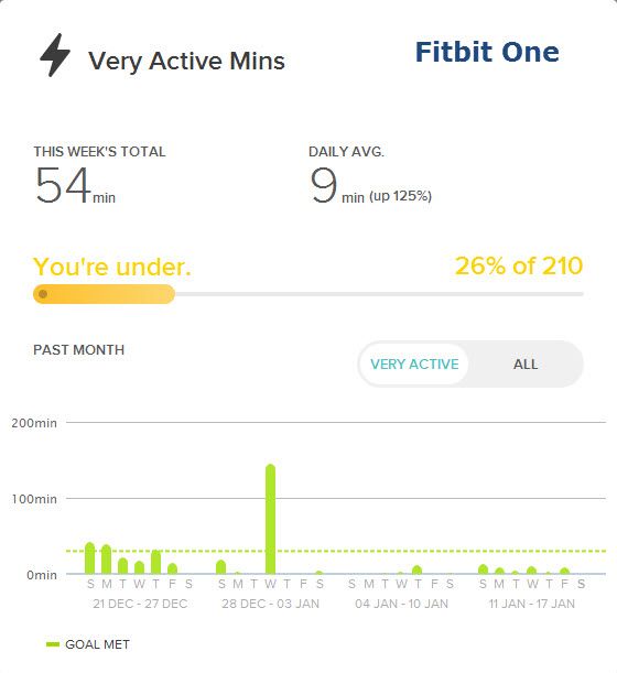 fitbit one VAM.jpg