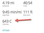Garmin Forerunner 620 Cal Calculation.jpg