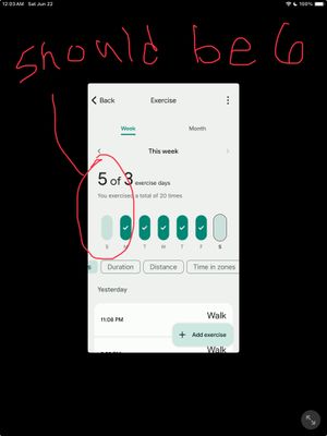 Ddonna_2-1719071210093.jpeg