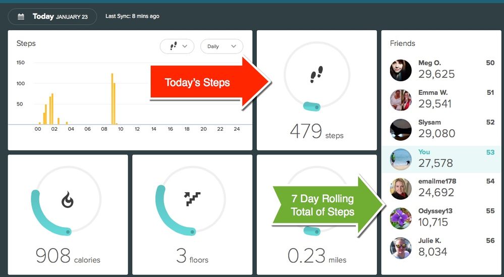 Dashboard Steps.jpg