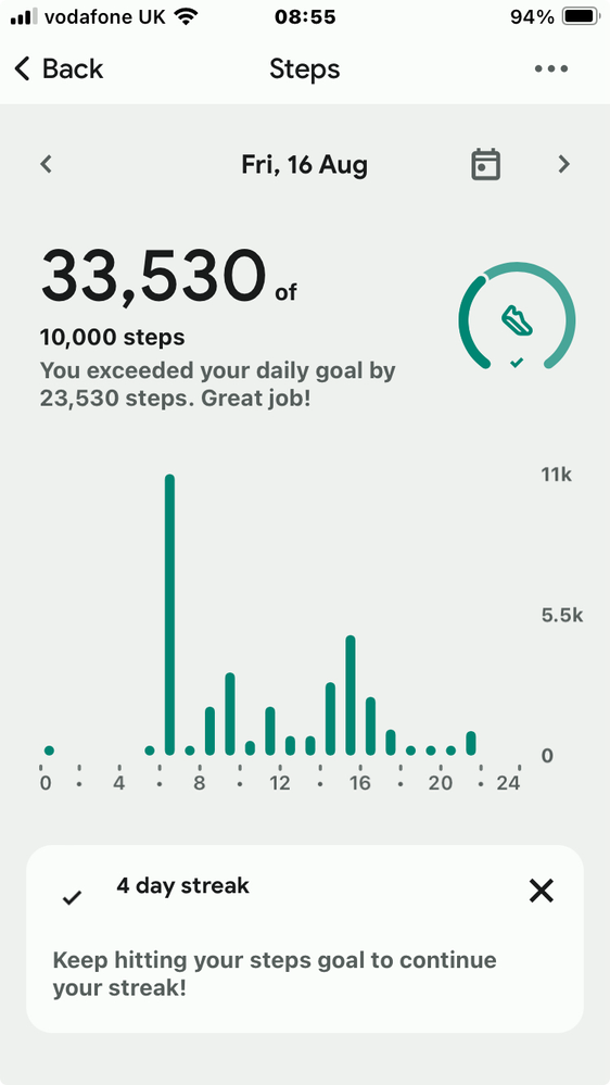 FitBit Step Count.png
