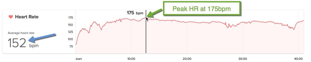 Fitbit Charge HR Graph.jpg