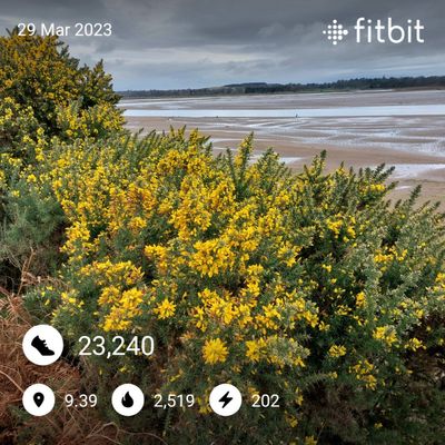 fitbitshare_790670696.JPEG
