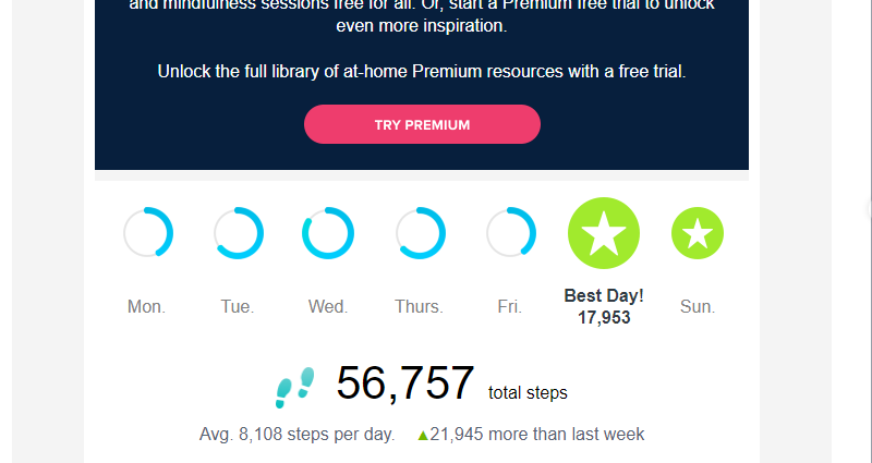 screenshot of steps in weekly.png