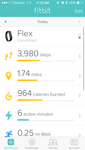 fitbit2.PNG