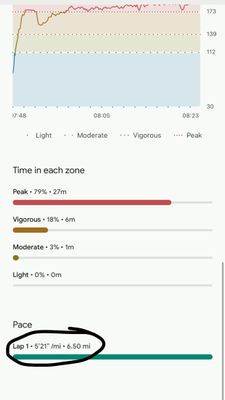 IMG_7254.jpeg