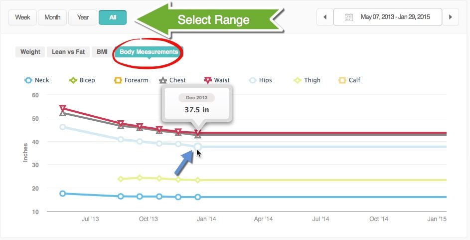 Body Measurement Graph