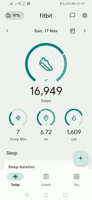 Screenshot_20241124_014323_com.fitbit.FitbitMobile.jpg