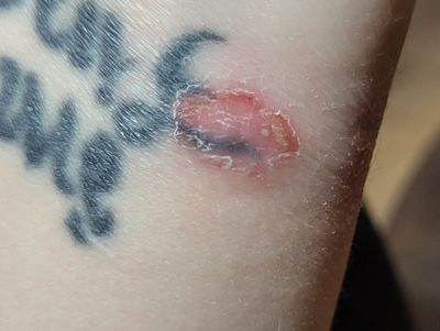 20241220_065743.jpg