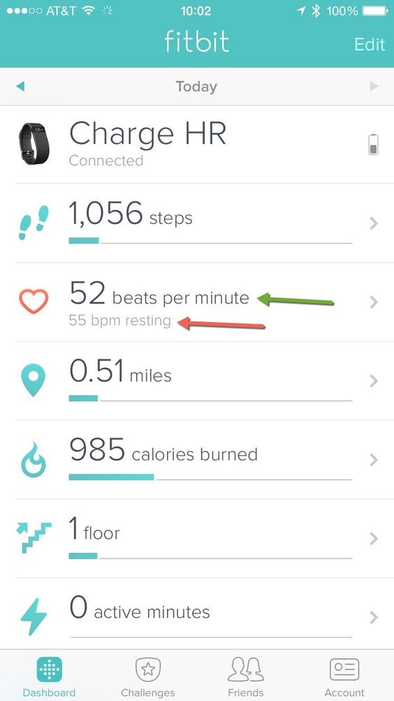 iOS Real Time HR + RHR.jpg