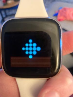 Fitbit versa forum online