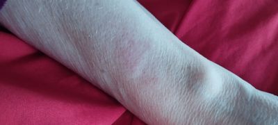 IMG_20250104_111704.jpg