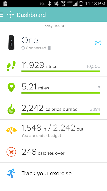FitBit Dashboard 1