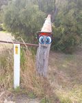 20250105_090030.jpg