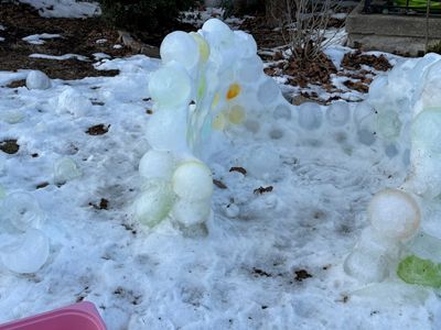 Ice molds?