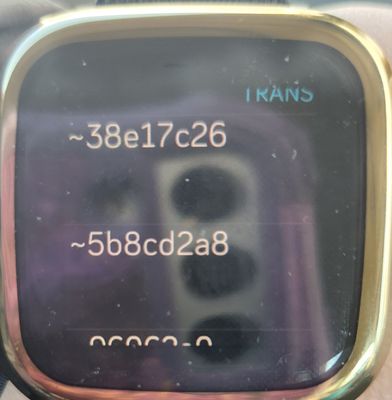 1000033792.jpg