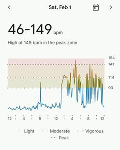 Fitbit HR Feb 1.jpeg