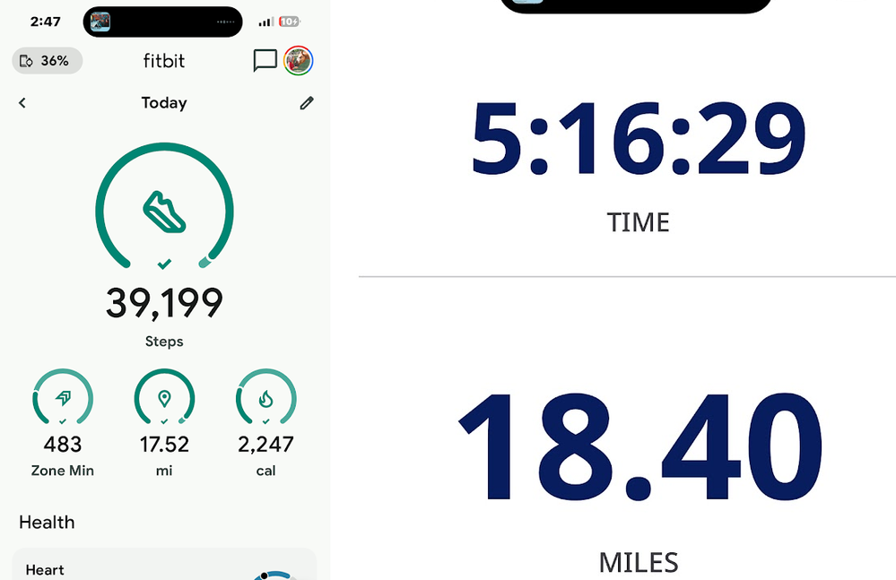 fitbit vs runkeeper 3-1-2025 w&od trail.png