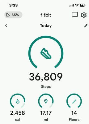 MarioSFitbit_1-1741297721464.jpeg