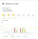 Calories In vs Out Chart