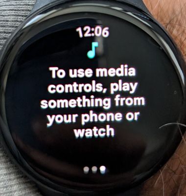 Pixel Watch 1 - Hike 2nd screen - Media Control.jpg