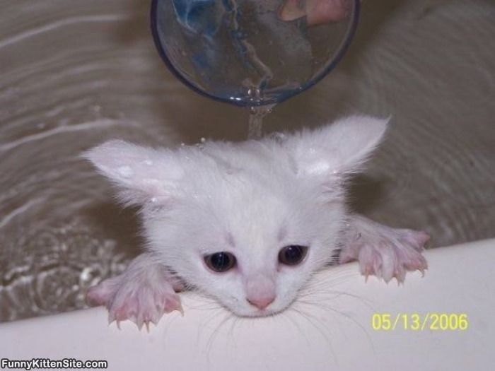 Shower..