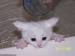 Shower..